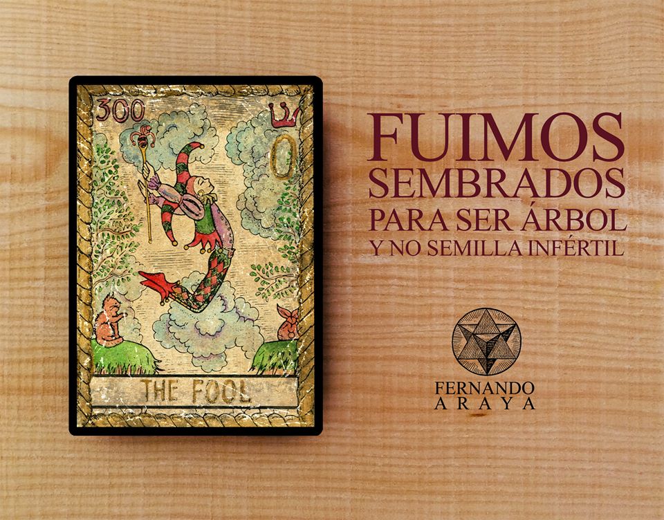 20663945_10155621855558343_6109893452320815525_n